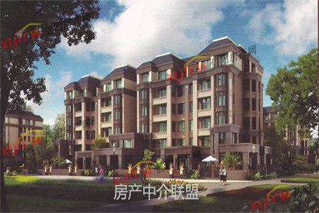 纸厂家属院3室2厅1卫52万100m2出售